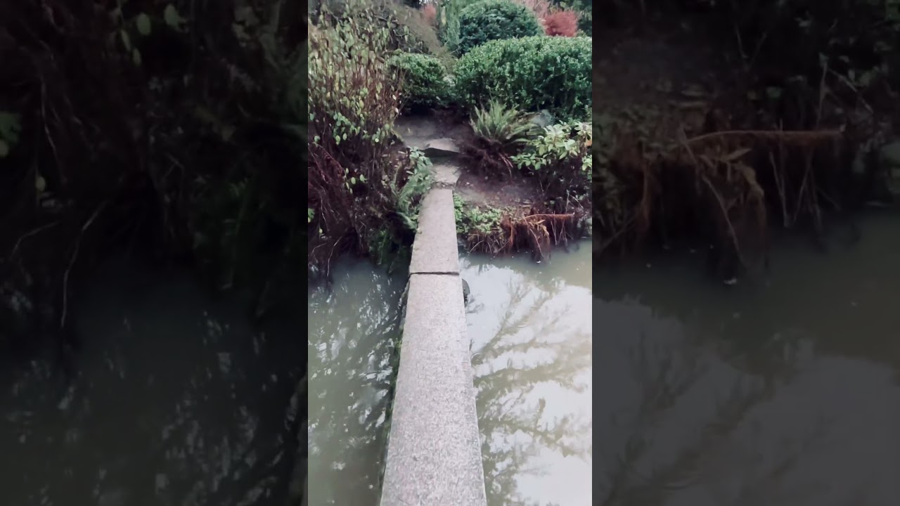 Tururururu… sorry can’t help it 😝 Kubota garden