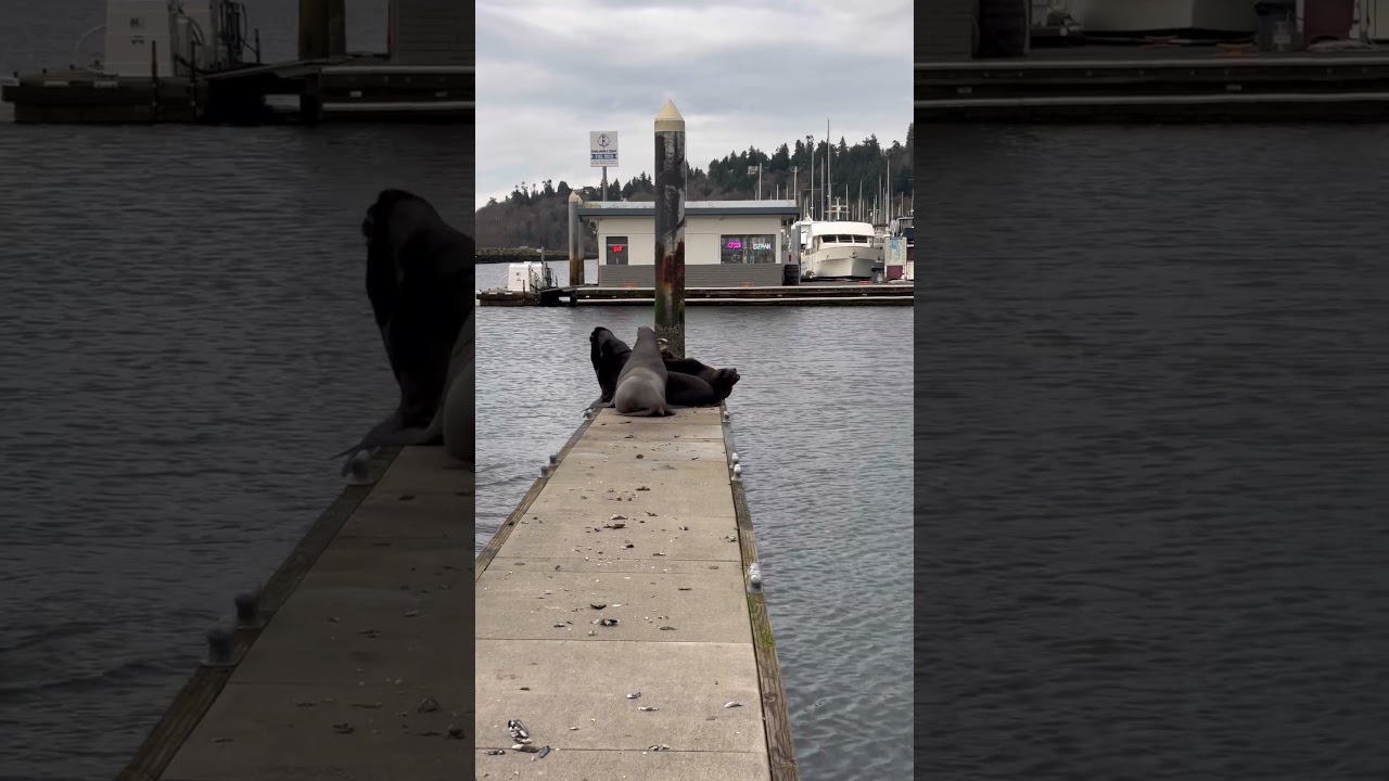 Fight broke out at the docks