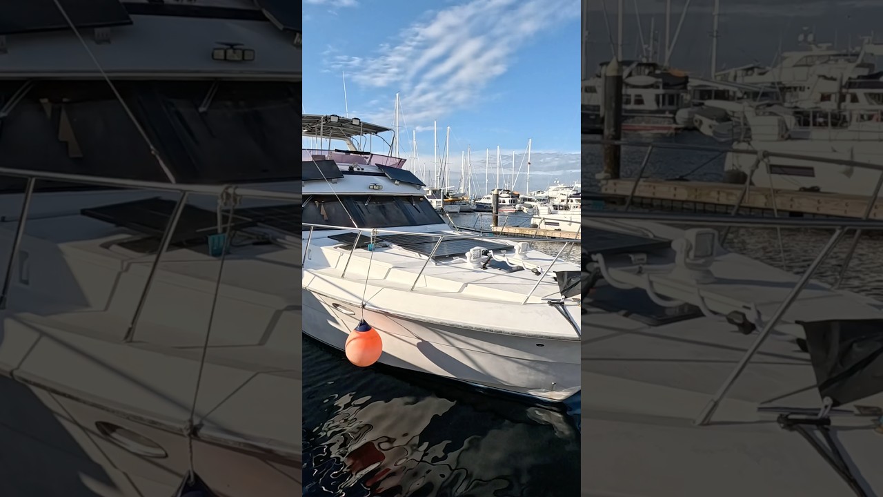 Added 200 W bifacial panel to a total of over 6kW